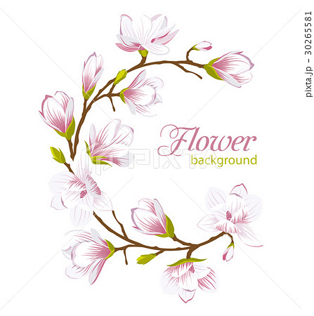 Round Frame Made of Beautiful Magnolia Flowers Round Frame Made of Beautiful Magnolia Flowers 30265581