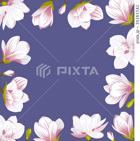 Vintage Border Made of Beautiful Magnolia Flowers 30265582