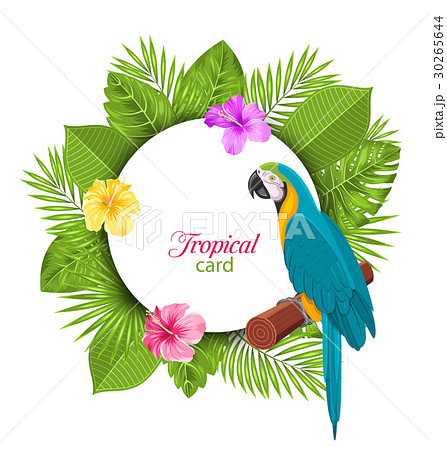 Tropical Card with Parrot Ara, Colorful Hibiscus 30265644