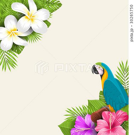 Exotic Border with Parrot Ara, Flowers Plumeria Exotic Border with Parrot Ara, Flowers Plumeria 30265750