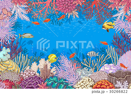 Underwater Background With Corals And Fishesのイラスト素材