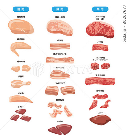 肉のセット 食材 シリーズ のイラスト素材