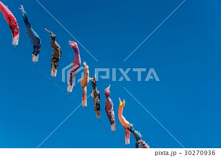 道の駅　南きよさと　青空に泳ぐこいのぼり 30270936