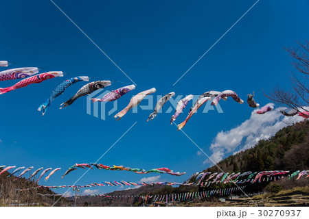 道の駅　南きよさと　青空に泳ぐこいのぼり 30270937