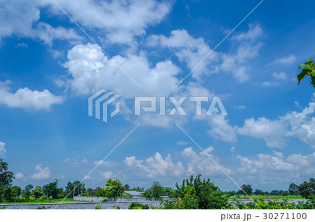 Blue sky and white cloud. Green tree. Blue sky and white cloud. Green tree. 30271100