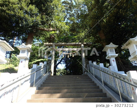 船橋八王子神社 30273212