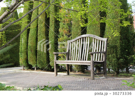 新緑とベンチ 30273336