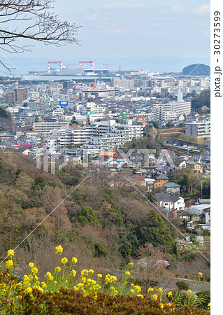 横浜・金沢自然公園からの風景 横浜・金沢自然公園からの風景 30273599