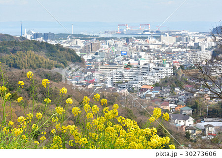 横浜・金沢自然公園からの風景 30273606