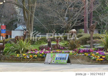 横浜・金沢動物園 横浜・金沢動物園 30274027
