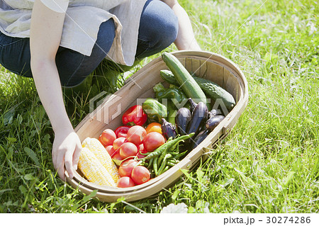 夏野菜と女性 夏野菜と女性 30274286