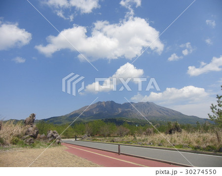 赤水展望広場・叫びの肖像前から見た桜島 赤水展望広場・叫びの肖像前から見た桜島 30274550
