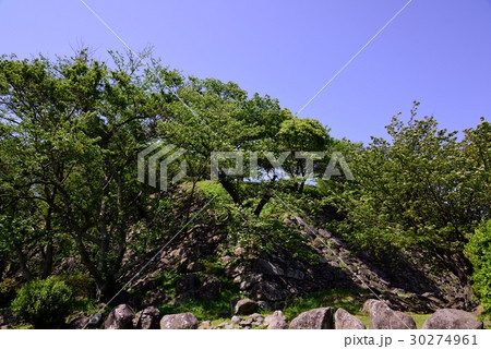 新緑の名護屋城跡 30274961