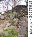 東京の富士山（富士塚） 30275615