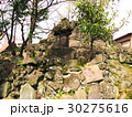 東京の富士山（富士塚） 30275616