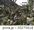 東京の富士山（富士塚） 30275618