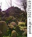東京の富士山（富士塚） 30275619