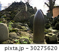 東京の富士山（富士塚） 30275620