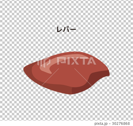 レバー【食材・シリーズ】 30276868