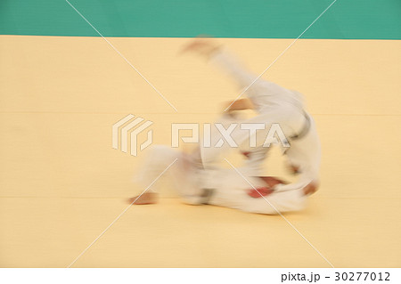 柔道の技 30277012