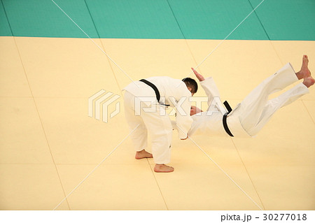 柔道の技 30277018