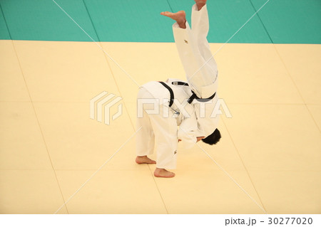 柔道の技 30277020