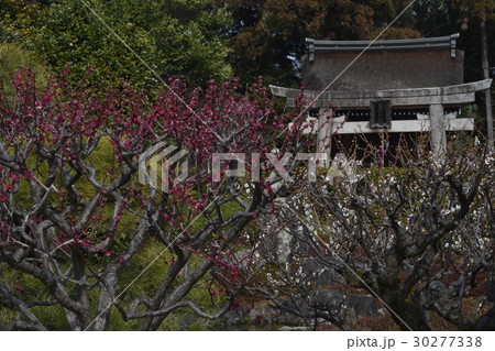 芹川天満宮 30277338