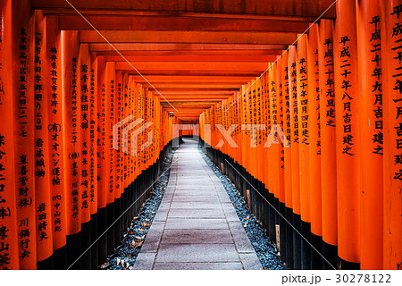 Torii gates at Fushimi Inari, Kyoto Torii gates at Fushimi Inari, Kyoto 30278122