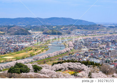 白石川一目千本桜/船岡城址公園 白石川一目千本桜/船岡城址公園 30278155