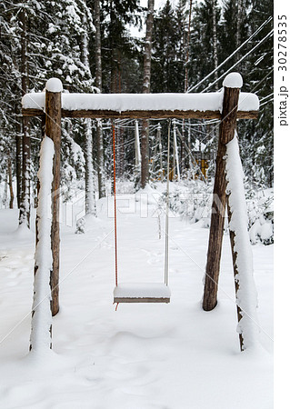 Wooden swing in a pine forest 30278535