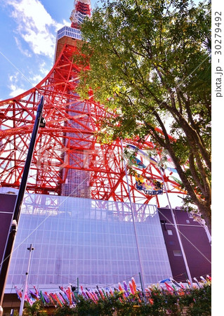 東京観光スポット 三陸大船渡 東京タワーさんままつりの鯉幟とさんま幟と大漁旗 裾に無数の鯉幟縦位置の写真素材