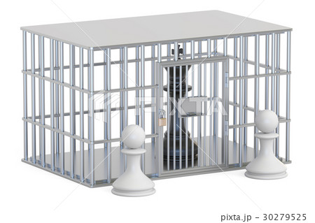 cage, prison cell with chess king. 3D rendering cage, prison cell with chess king. 3D rendering 30279525