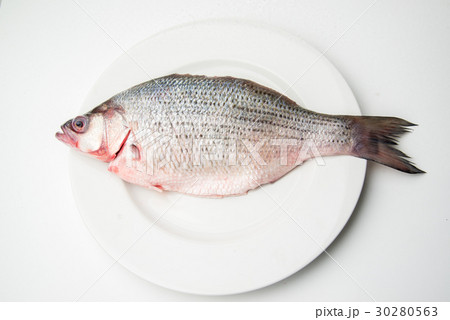 raw sea bass 30280563