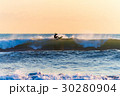sunset surfer 30280904