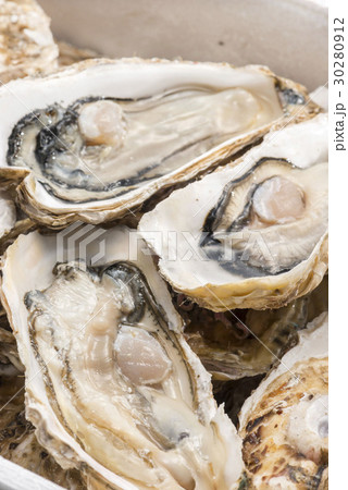 生牡蠣 30280912