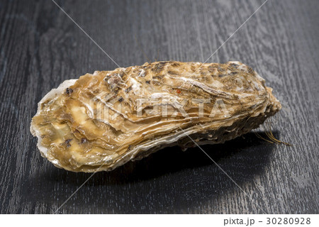 生牡蠣 30280928