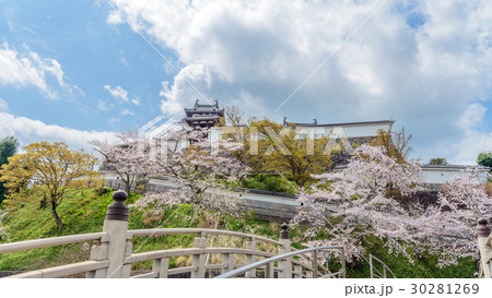 福知山城の春景色 30281269