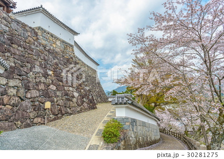 福知山城の春景色 30281275