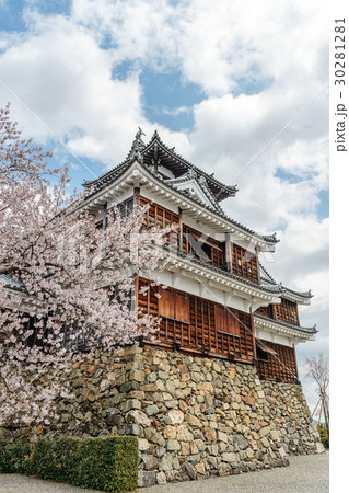 福知山城の春景色 30281281