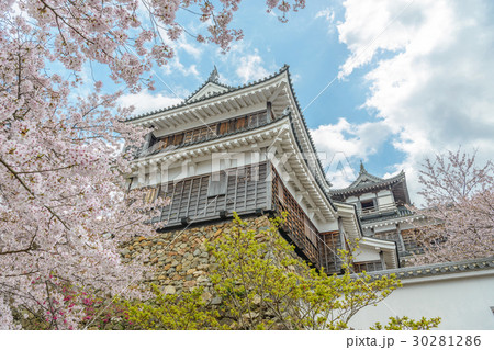 福知山城の春景色 30281286