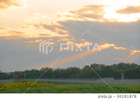 空港の夕日 空港の夕日 30281878
