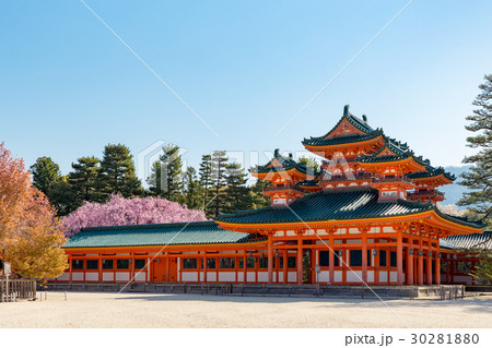 平安神宮の枝垂れ桜 平安神宮の枝垂れ桜 30281880