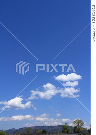 爽やかな初夏の空と新緑 30281912