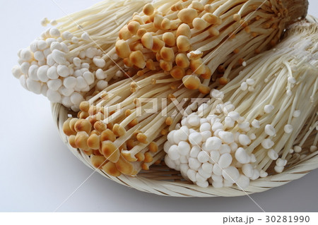 エノキ茸 30281990