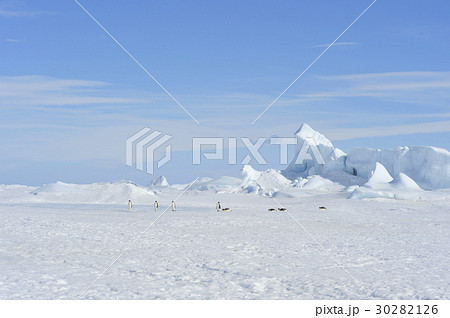 Beautiful view of icebergs Snow Hill Antarctica 30282126