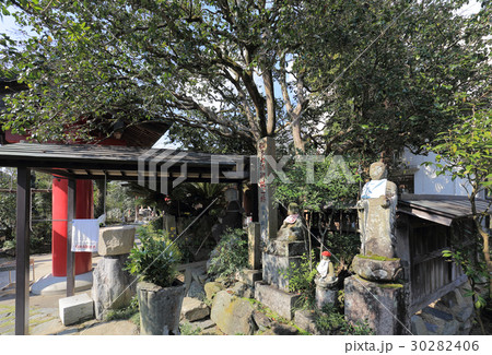 四国別格二十霊場第14番札所 常福寺 椿堂 の大師お杖椿とおさわり大師の写真素材