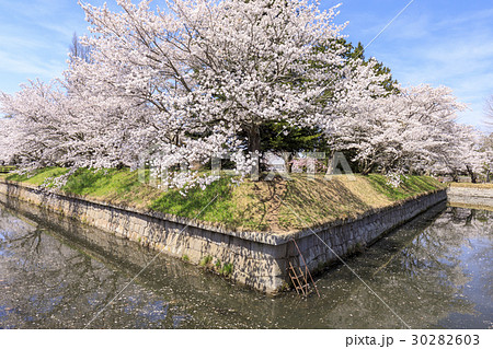 龍岡五稜郭 30282603