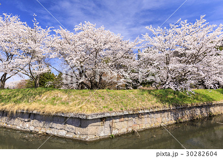 龍岡五稜郭 30282604