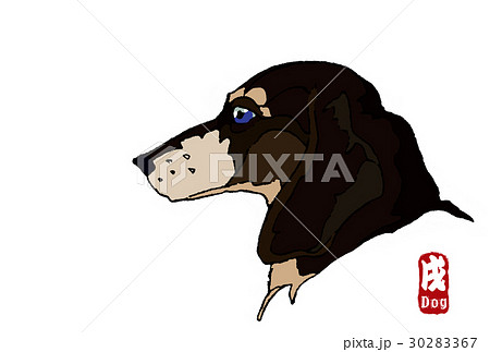 犬 横顔 黒 のイラスト素材
