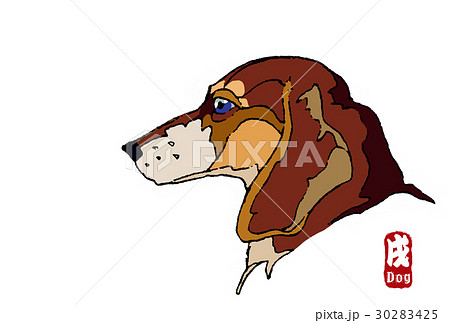 犬-横顔(茶) 犬-横顔(茶) 30283425